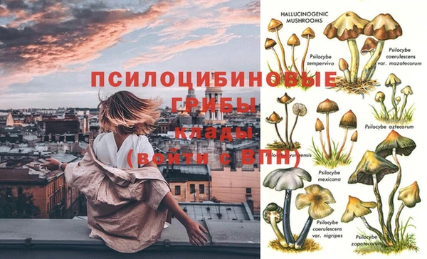 герыч Бугульма