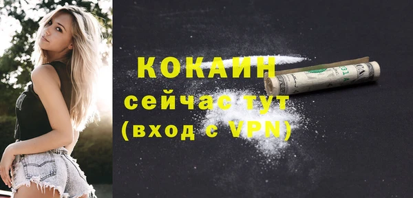 амф Бородино