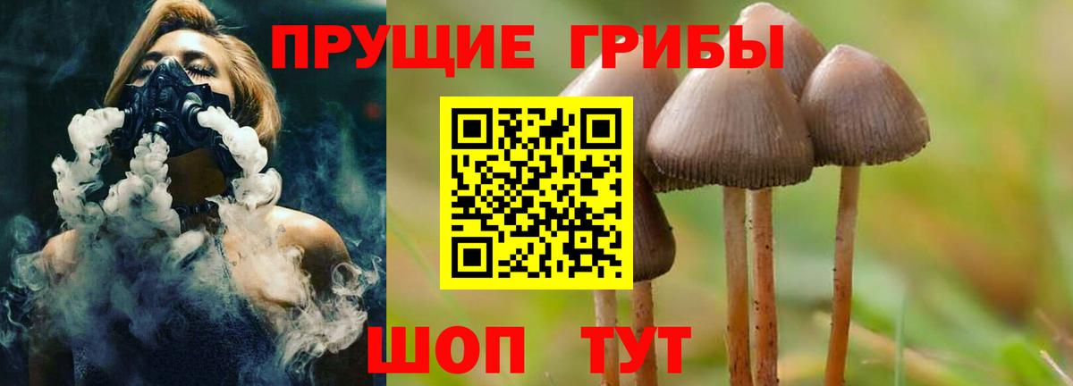Псилоцибиновые грибы Psilocybine cubensis  Галлюциногенные грибы Magic Shrooms  Сургут  Вход с VPN 